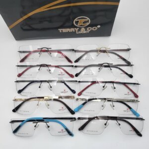 terry co rimless frame